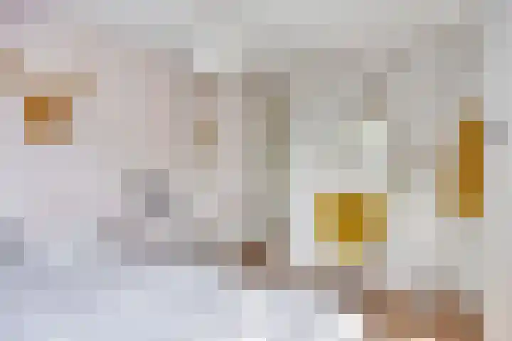 Theresialaan 42 Vught thumbnail 42