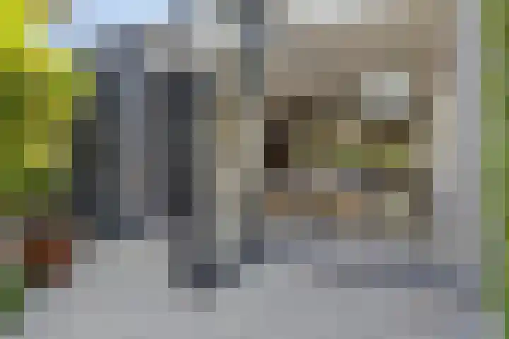 Theresialaan 42 Vught thumbnail 53