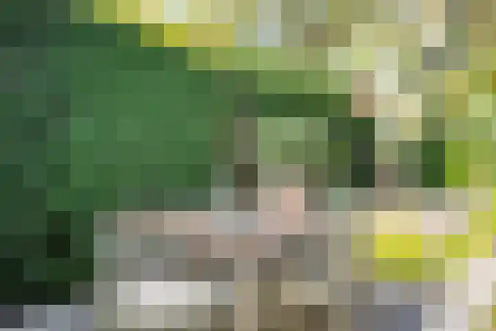 Theresialaan 42 Vught thumbnail 54