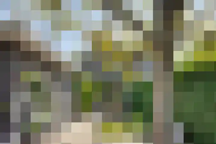 Theresialaan 42 Vught thumbnail 56