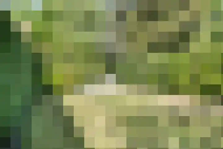 Theresialaan 42 Vught thumbnail 57