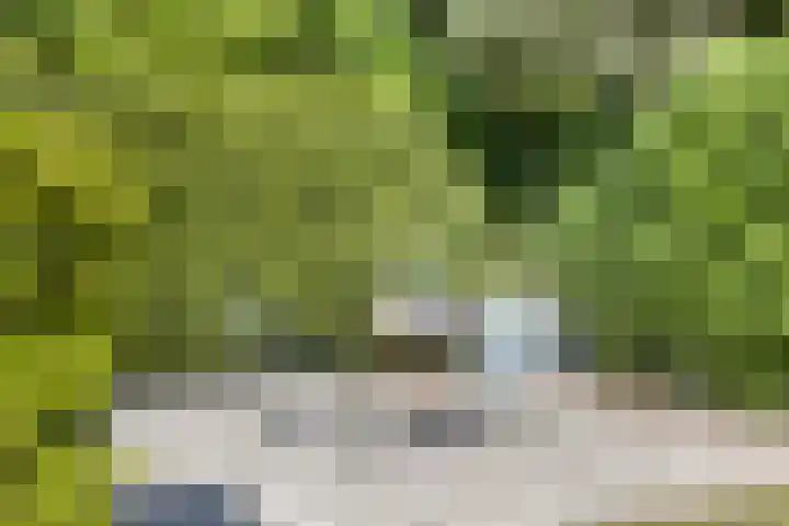 Theresialaan 42 Vught thumbnail 59