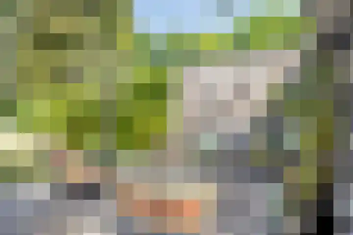 Theresialaan 42 Vught thumbnail 61