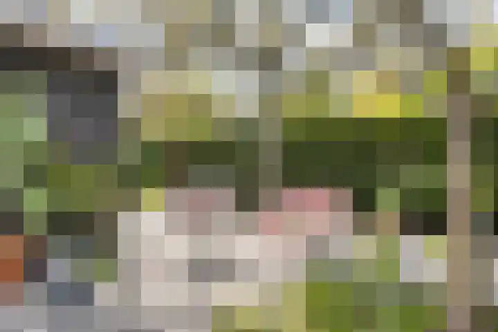 Theresialaan 42 Vught thumbnail 62