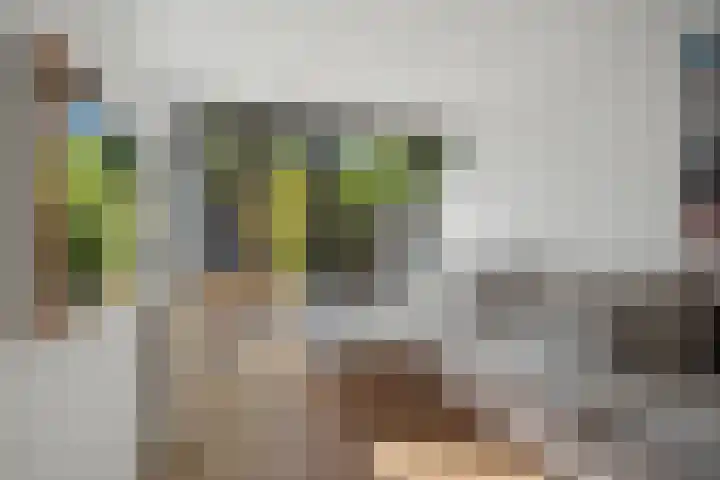 Theresialaan 56 Vught thumbnail 15