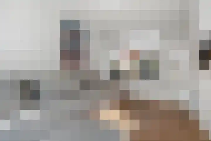 Theresialaan 56 Vught thumbnail 17