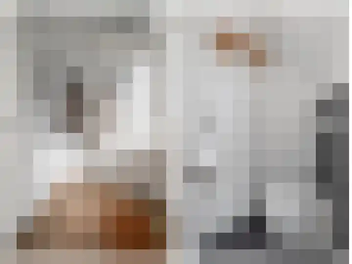 Theresialaan 56 Vught thumbnail 24