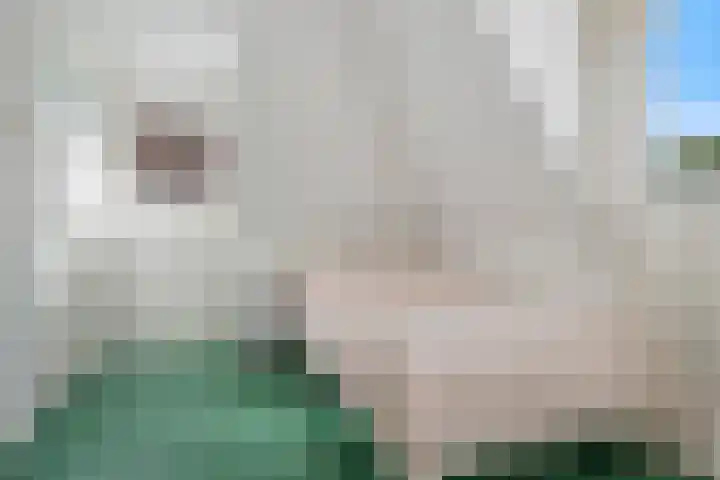 Theresialaan 56 Vught thumbnail 28