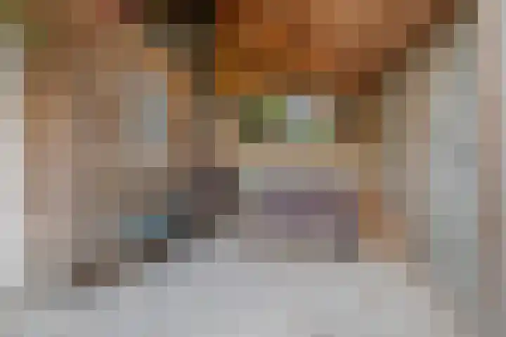 Theresialaan 56 Vught thumbnail 41