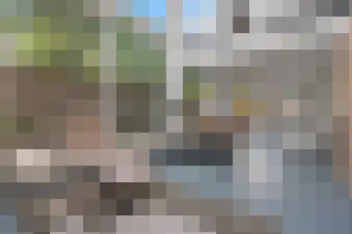 Theresialaan 56 Vught thumbnail 43