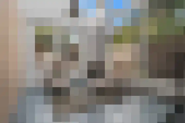 Theresialaan 56 Vught thumbnail 44