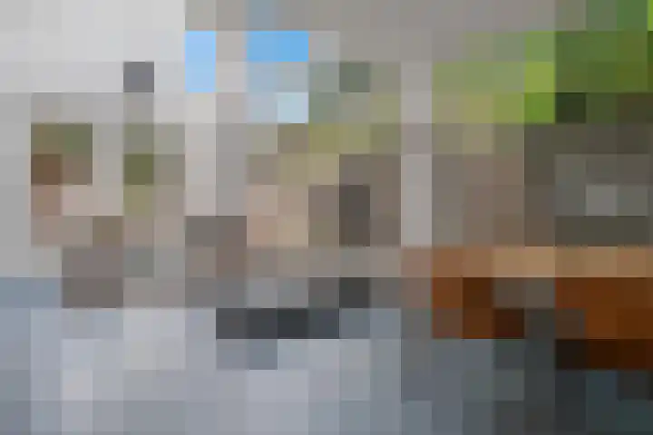 Theresialaan 56 Vught thumbnail 45