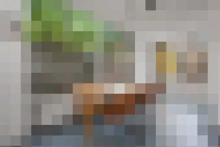 Theresialaan 56 Vught thumbnail 48