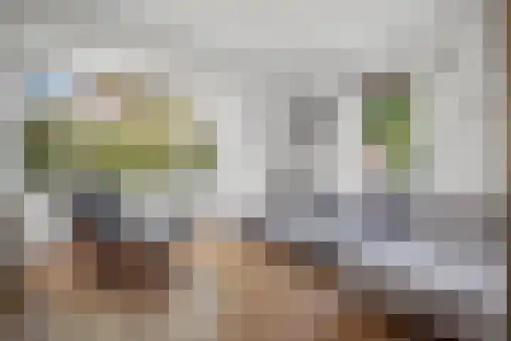 Theresialaan 56 Vught thumbnail 5