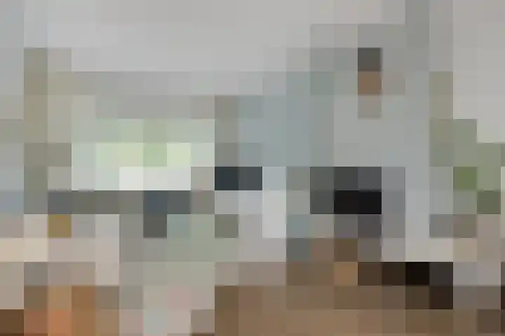 Theresialaan 59 Vught thumbnail 13