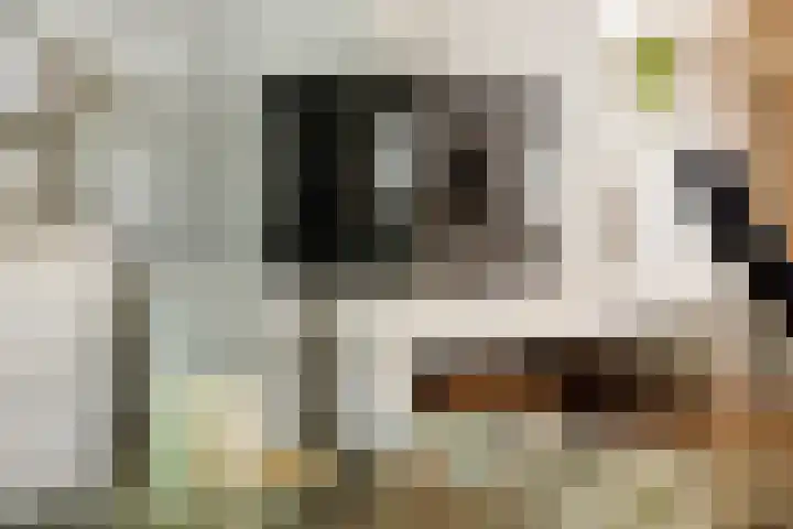 Theresialaan 59 Vught thumbnail 17