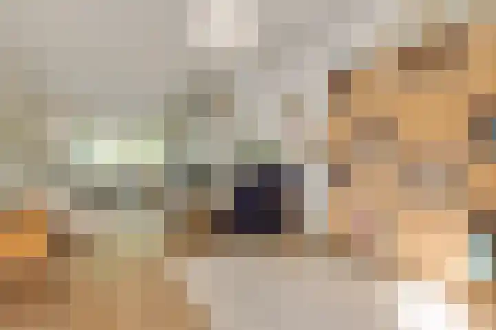Theresialaan 59 Vught thumbnail 18