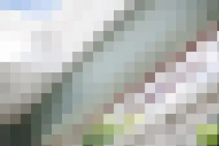 Theresialaan 59 Vught thumbnail 22