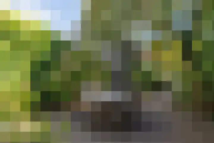 Theresialaan 59 Vught thumbnail 30
