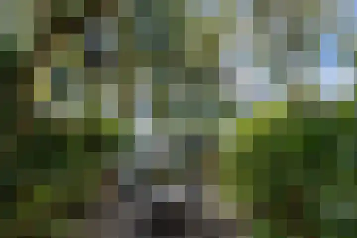 Theresialaan 59 Vught thumbnail 31