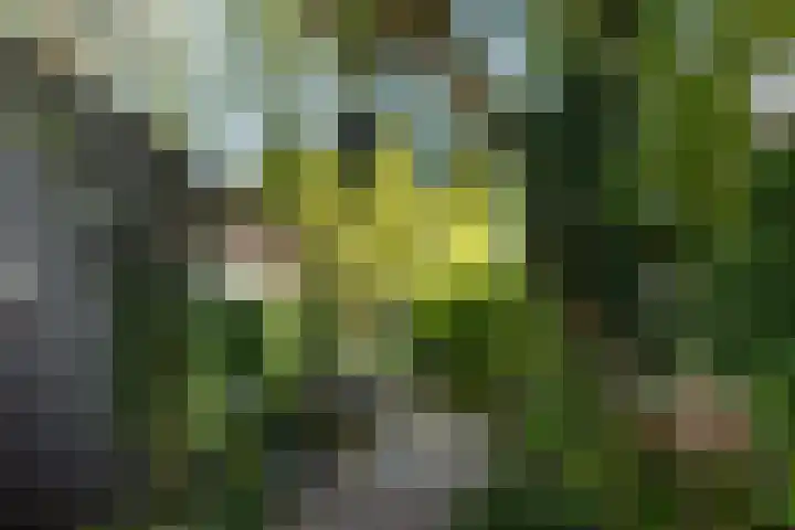 Theresialaan 59 Vught thumbnail 32