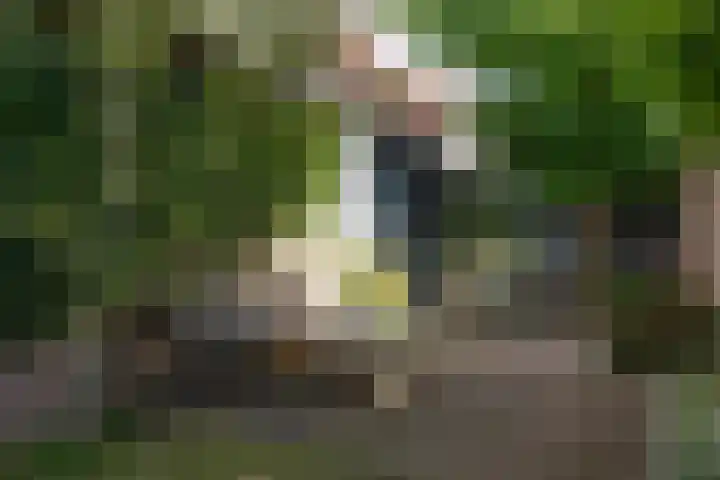 Theresialaan 59 Vught thumbnail 33