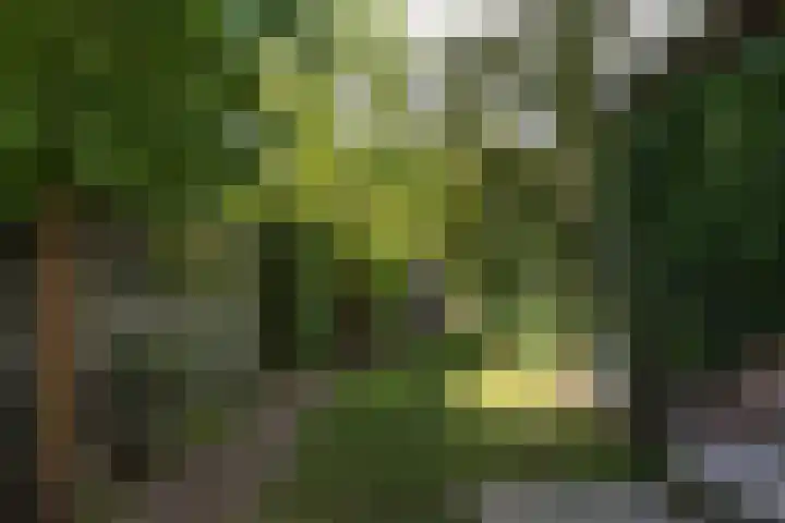 Theresialaan 59 Vught thumbnail 34