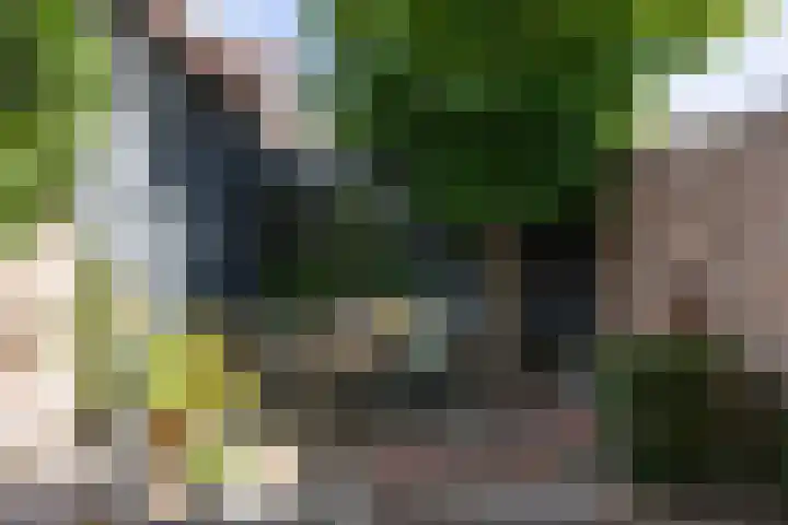 Theresialaan 59 Vught thumbnail 35