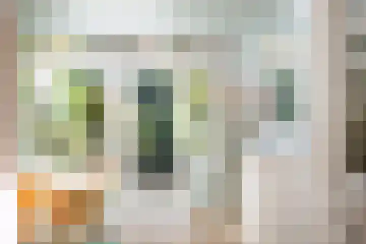 Theresialaan 59 Vught thumbnail 5