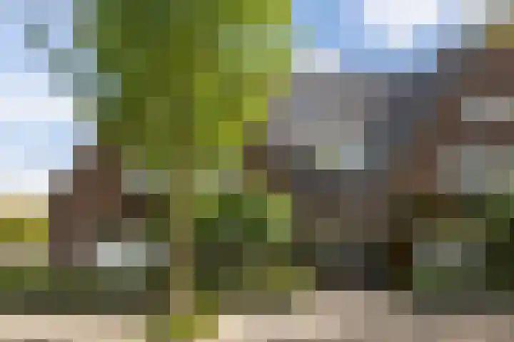 Theresialaan 59 Vught thumbnail 7