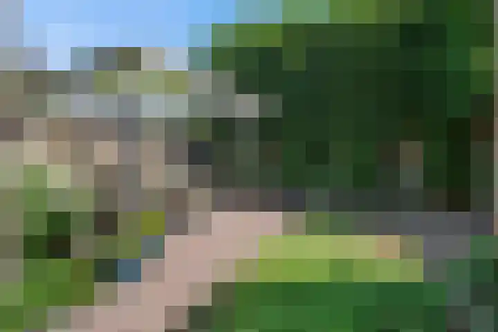 Theresialaan 89 Vught thumbnail 34