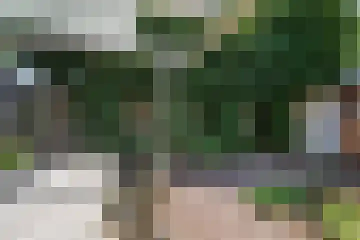 Theresialaan 89 Vught thumbnail 35