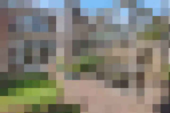 Theresialaan 89 Vught thumbnail 37