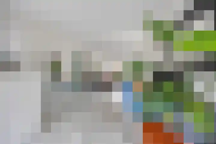 Theresiastraat 103 A Den Haag thumbnail 17