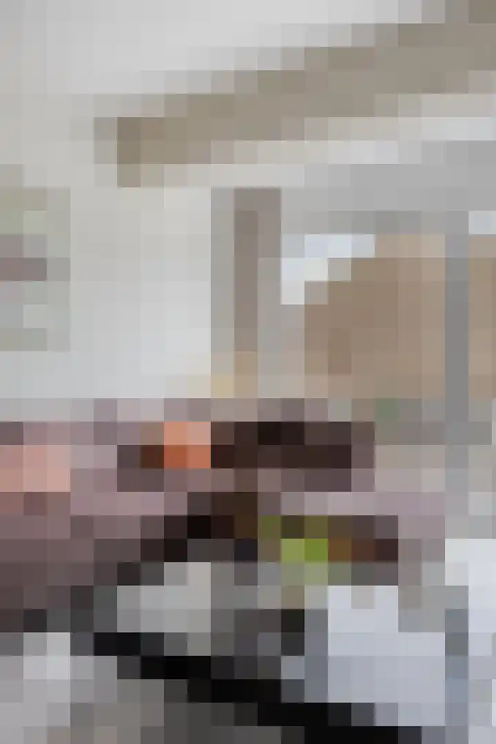 Theresiastraat 103 A Den Haag thumbnail 20