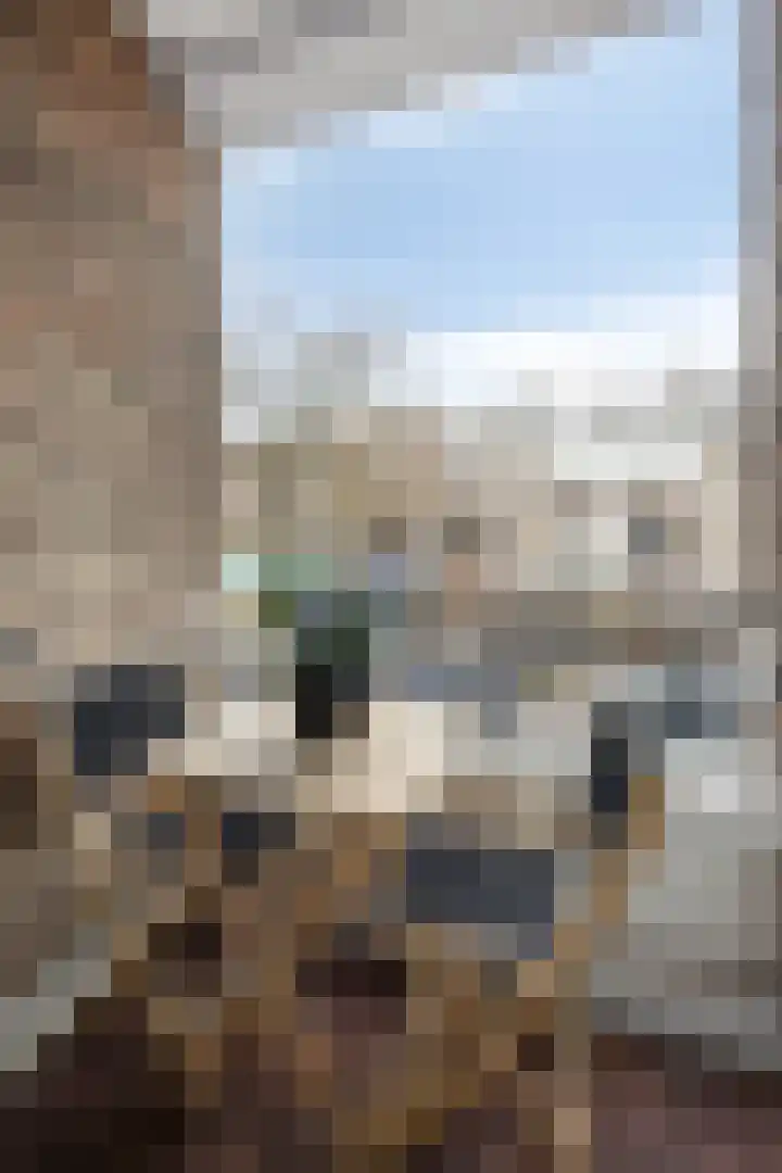 Theresiastraat 103 A Den Haag thumbnail 25