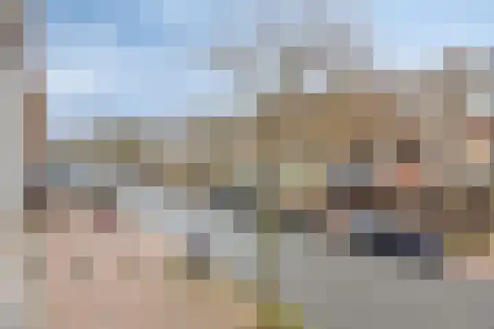 Theresiastraat 103 A Den Haag thumbnail 26