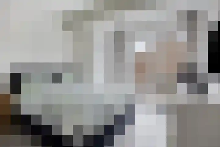 Theresiastraat 103 A Den Haag thumbnail 32