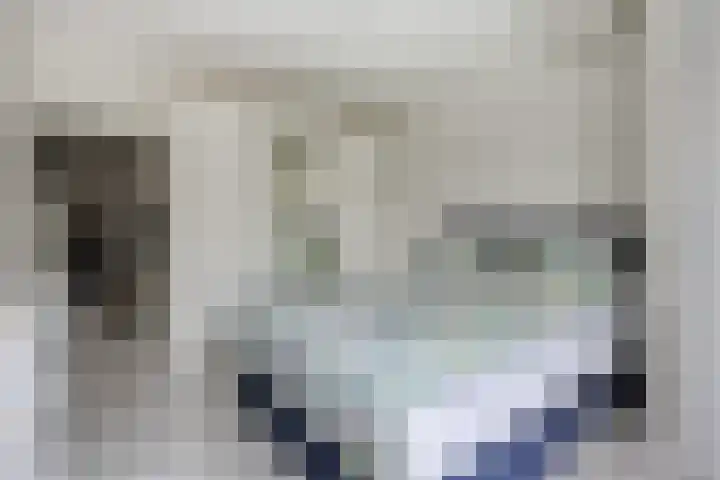 Theresiastraat 103 A Den Haag thumbnail 33