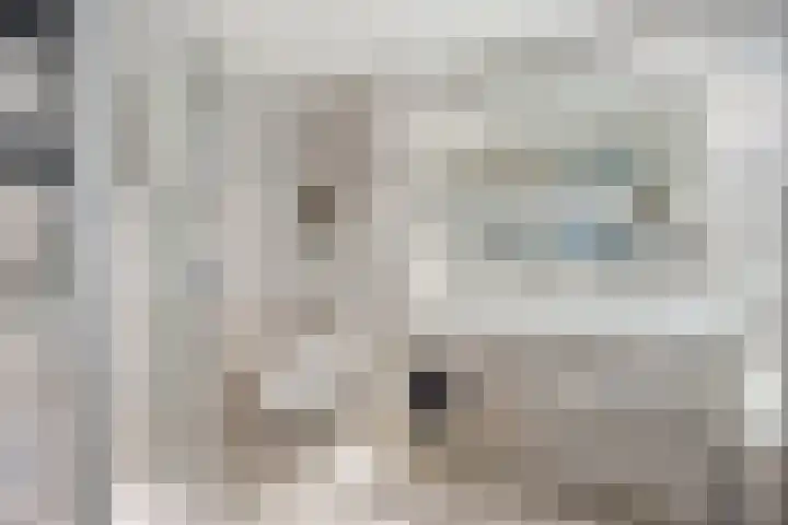 Theresiastraat 103 A Den Haag thumbnail 34
