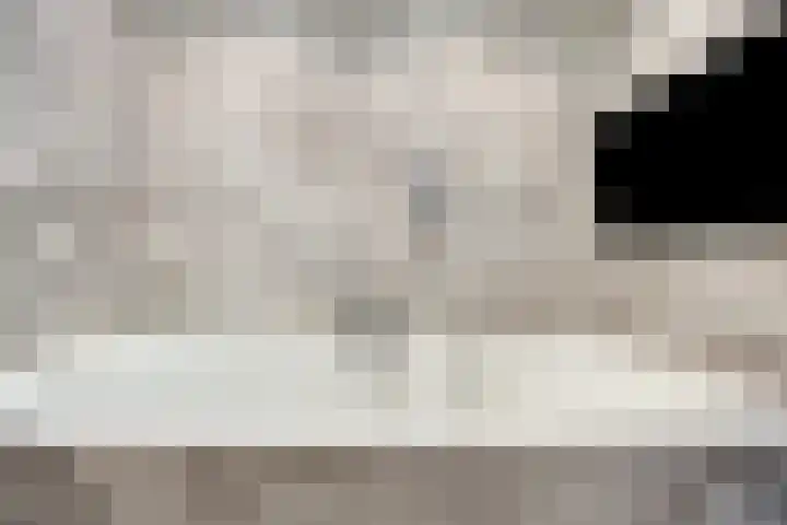 Theresiastraat 103 A Den Haag thumbnail 37