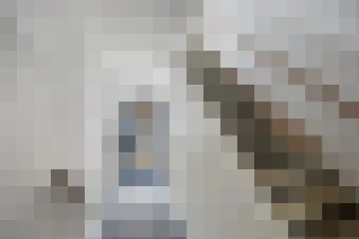 Theresiastraat 103 A Den Haag thumbnail 9