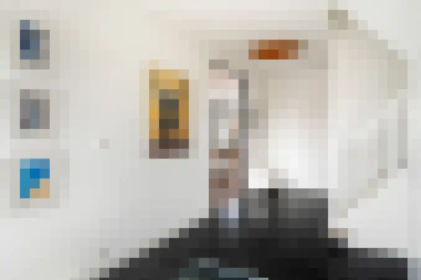 Theresiastraat 111 A Den Haag thumbnail 12
