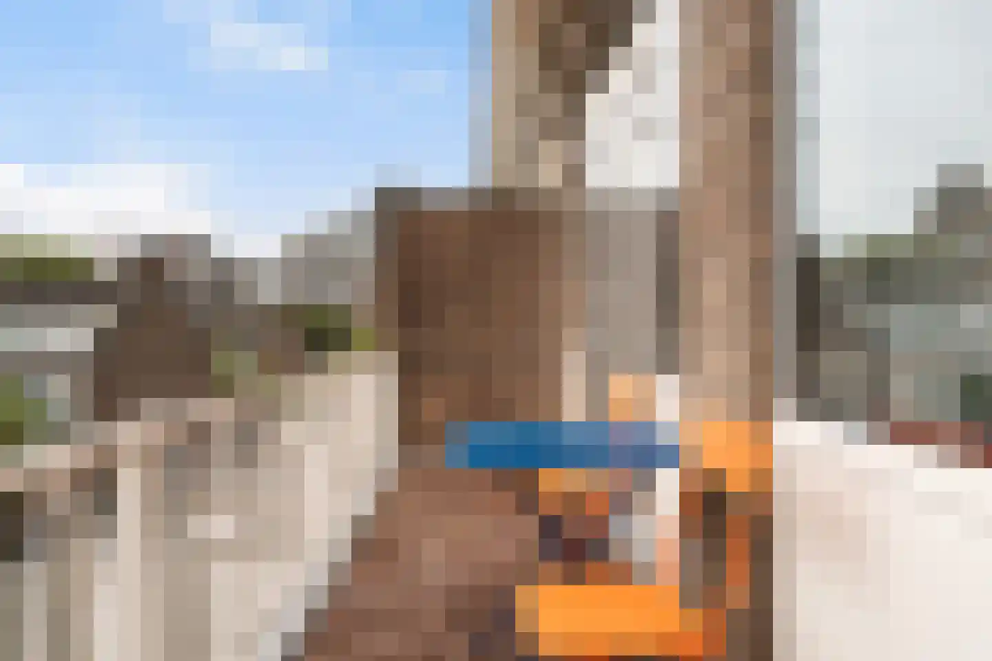Theresiastraat 111 A Den Haag thumbnail 19