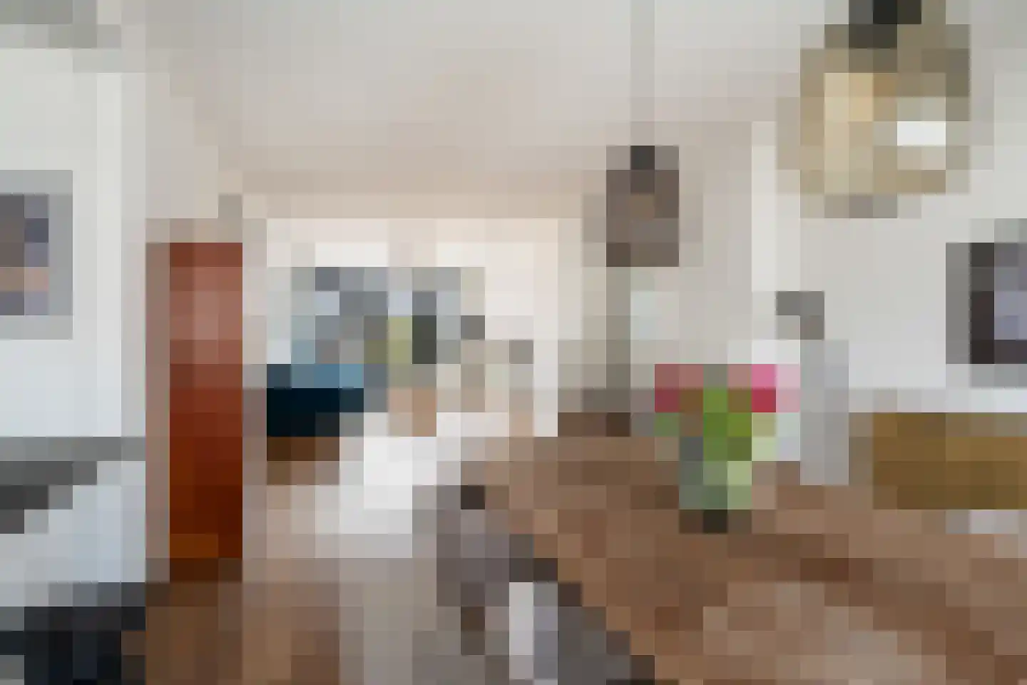 Theresiastraat 111 A Den Haag thumbnail 21