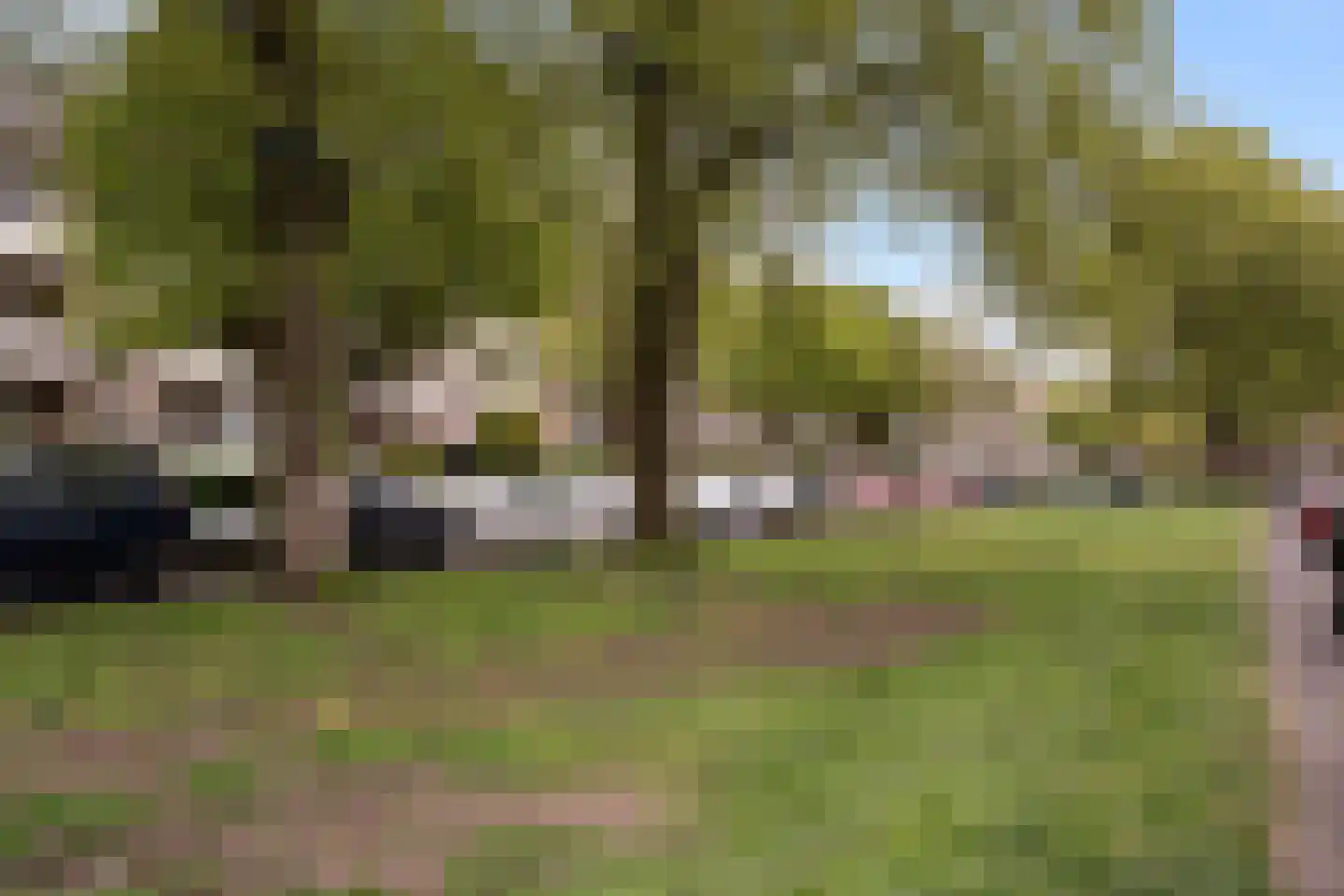 Theresiastraat 111 A Den Haag thumbnail 48