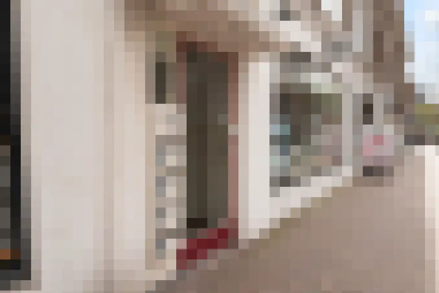 Theresiastraat 111 A Den Haag thumbnail 6