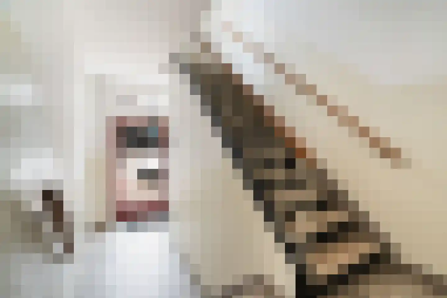 Theresiastraat 111 A Den Haag thumbnail 7