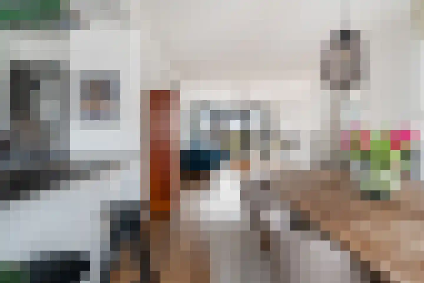 Theresiastraat 111 B Den Haag thumbnail 22