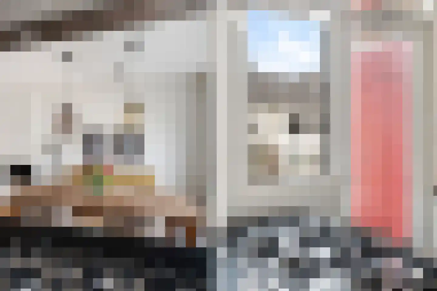 Theresiastraat 111 B Den Haag thumbnail 26